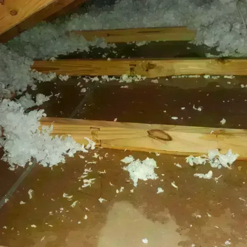 Attic Water Damage in Leitchfield, KY